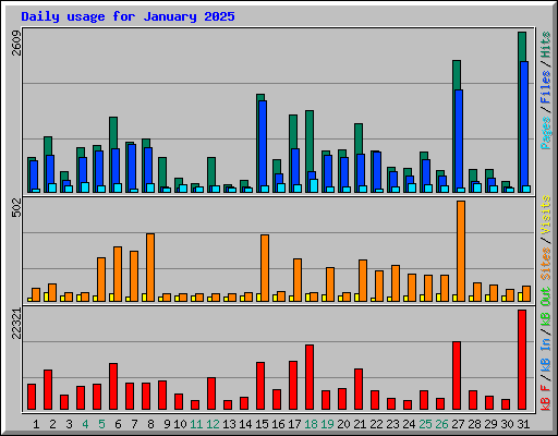 Daily usage for January 2025