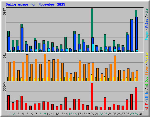 Daily usage for November 2025