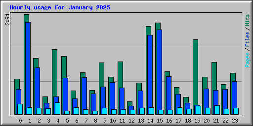 Hourly usage for January 2025