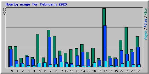 Hourly usage for February 2025