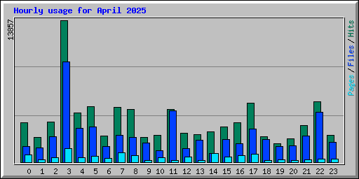 Hourly usage for April 2025