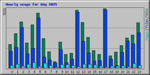 Hourly usage for May 2025