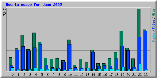 Hourly usage for June 2025