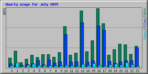 Hourly usage for July 2025