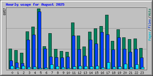 Hourly usage for August 2025