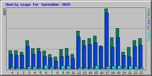 Hourly usage for September 2025