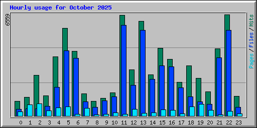 Hourly usage for October 2025