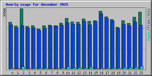Hourly usage for December 2025