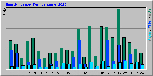 Hourly usage for January 2026