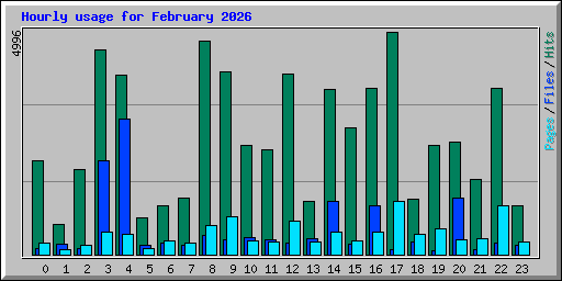 Hourly usage for February 2026