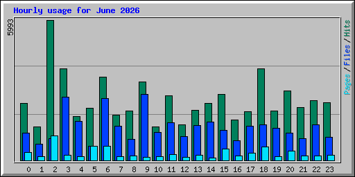 Hourly usage for June 2026