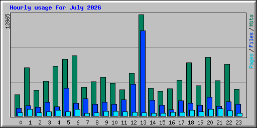 Hourly usage for July 2026
